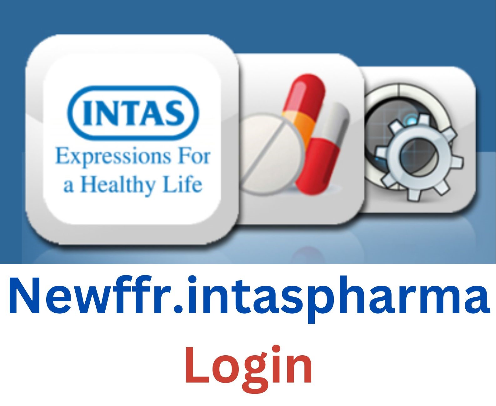 Newffr.intaspharma Login: Every Detail You Need To know