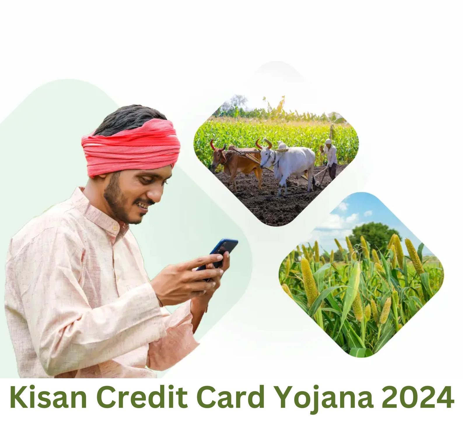 P.M. Kisan Credit Card Yojana 2024