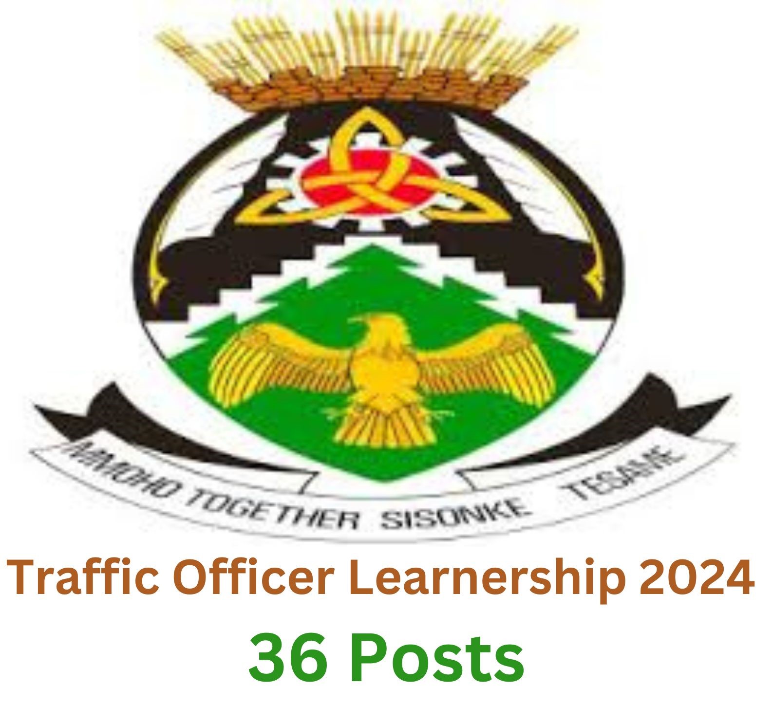 Traffic Officer Learnership 2024, 36 Posts: Eligibility, Document, How To Apply